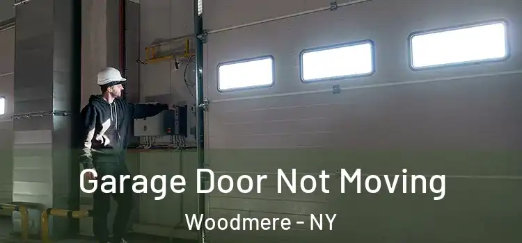  Garage Door Not Moving Woodmere - NY