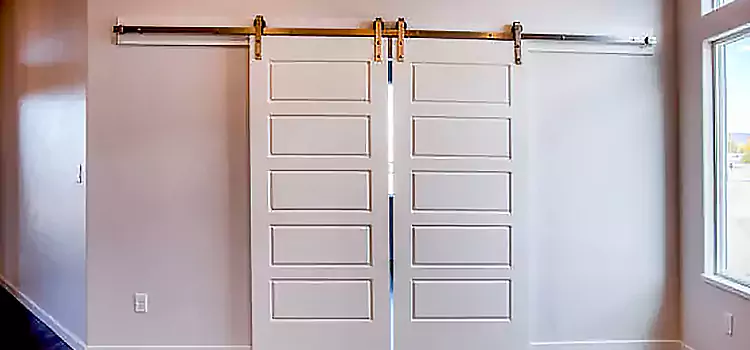 Glass Barn Door with Installation Hardware Kit Woodmere