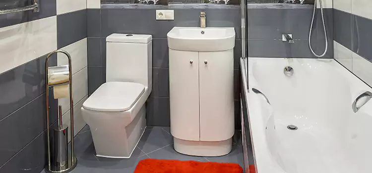 Hansgrohe Shaving Mirror Woodmere